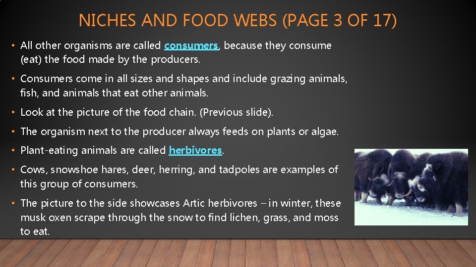 NICHES AND FOOD WEBS (PAGE 3 OF 17) • All other organisms are called