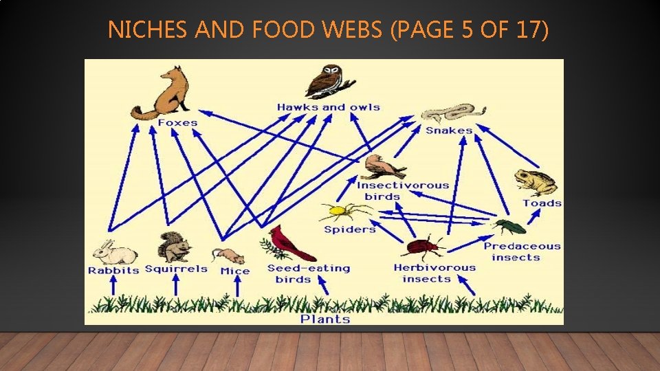 NICHES AND FOOD WEBS (PAGE 5 OF 17) 