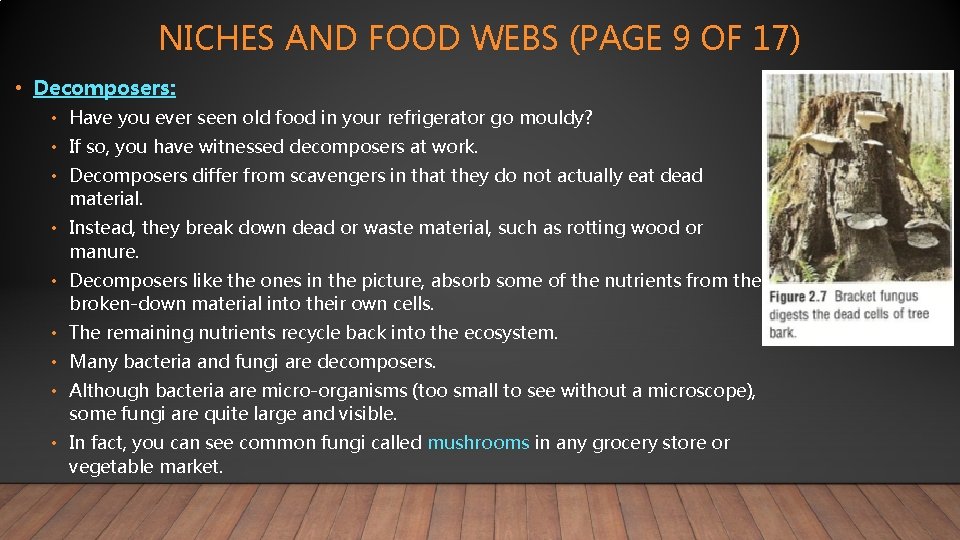 NICHES AND FOOD WEBS (PAGE 9 OF 17) • Decomposers: • Have you ever