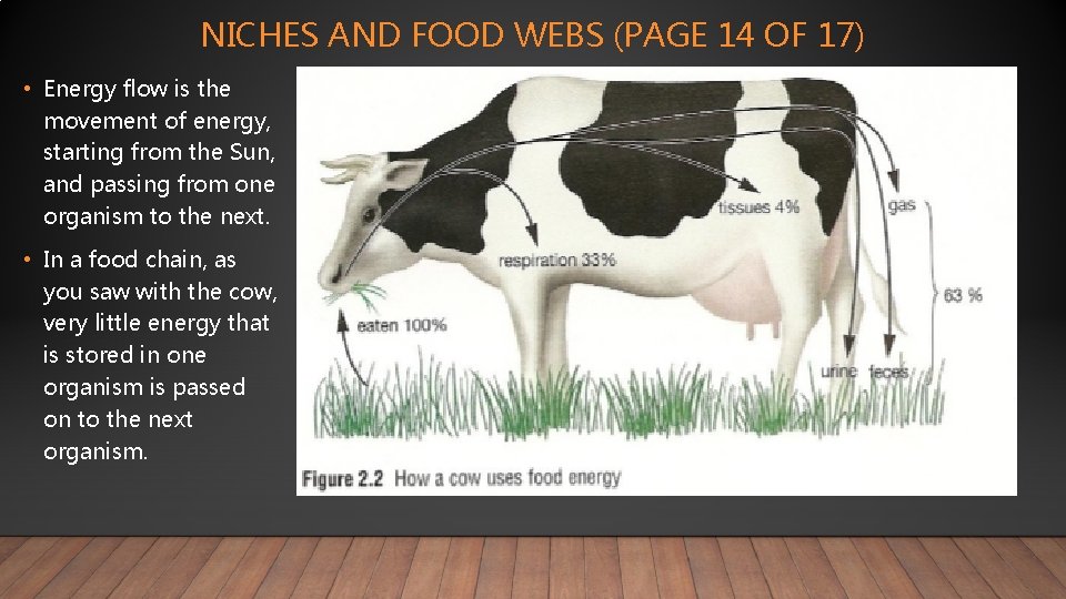 NICHES AND FOOD WEBS (PAGE 14 OF 17) • Energy flow is the movement