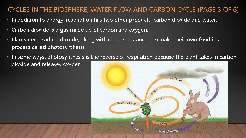 CYCLES IN THE BIOSPHERE, WATER FLOW AND CARBON CYCLE (PAGE 3 OF 6) •