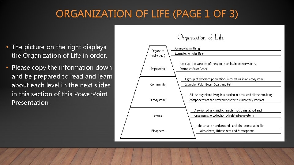 ORGANIZATION OF LIFE (PAGE 1 OF 3) • The picture on the right displays