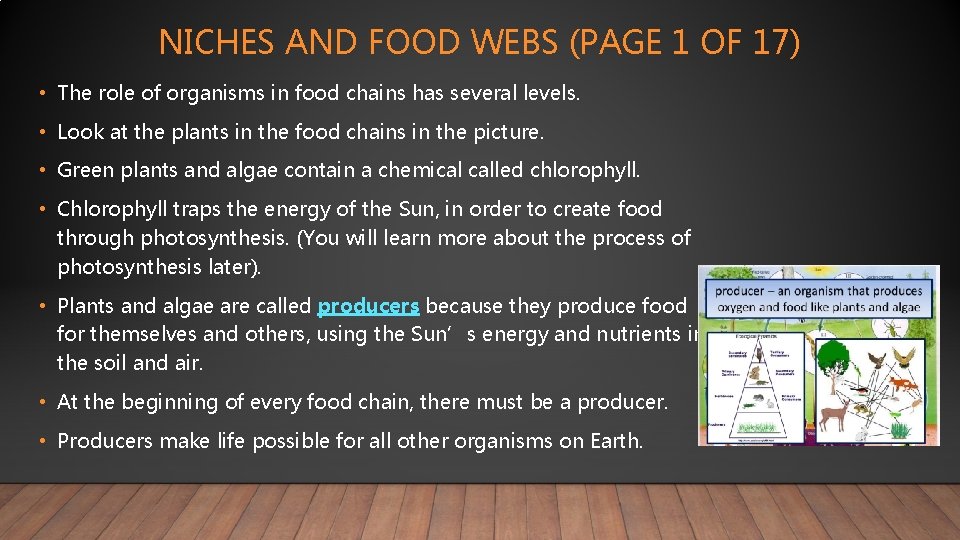 NICHES AND FOOD WEBS (PAGE 1 OF 17) • The role of organisms in