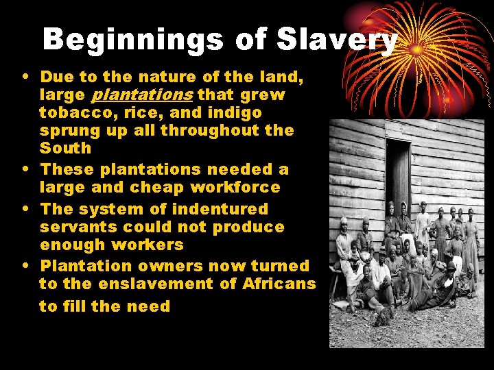 Beginnings of Slavery • Due to the nature of the land, large plantations that