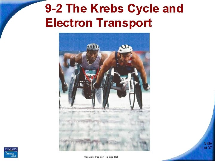 9 -2 The Krebs Cycle and Electron Transport Slide 1 of 37 Copyright Pearson
