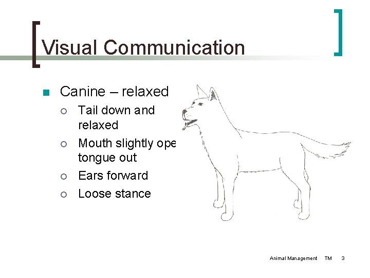 Visual Communication n Canine – relaxed ¡ ¡ Tail down and relaxed Mouth slightly Visual Communication n Canine – relaxed ¡ ¡ Tail down and relaxed Mouth slightly