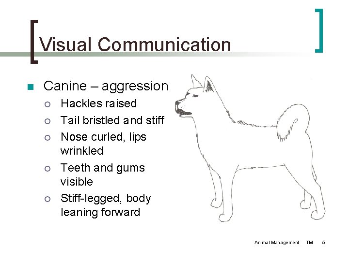 Visual Communication n Canine – aggression ¡ ¡ ¡ Hackles raised Tail bristled and Visual Communication n Canine – aggression ¡ ¡ ¡ Hackles raised Tail bristled and