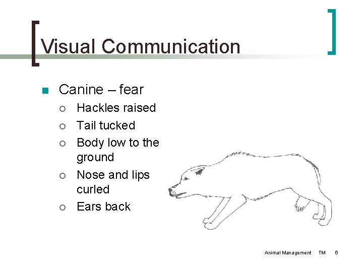 Visual Communication n Canine – fear ¡ ¡ ¡ Hackles raised Tail tucked Body Visual Communication n Canine – fear ¡ ¡ ¡ Hackles raised Tail tucked Body