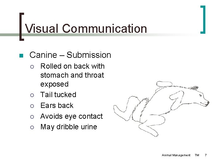 Visual Communication n Canine – Submission ¡ ¡ ¡ Rolled on back with stomach Visual Communication n Canine – Submission ¡ ¡ ¡ Rolled on back with stomach