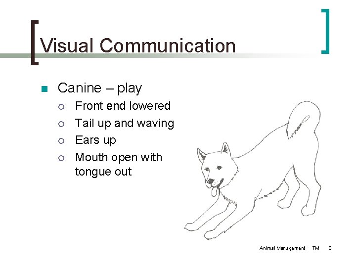 Visual Communication n Canine – play ¡ ¡ Front end lowered Tail up and Visual Communication n Canine – play ¡ ¡ Front end lowered Tail up and