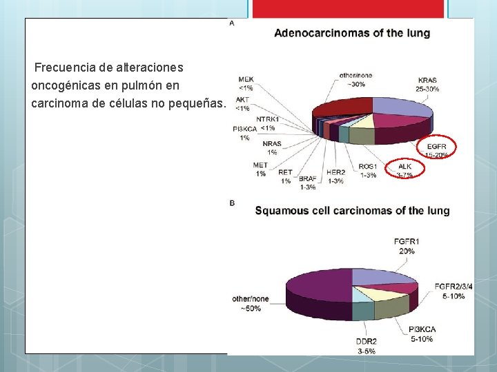 Frecuencia de alteraciones oncogénicas en pulmón en carcinoma de células no pequeñas. 