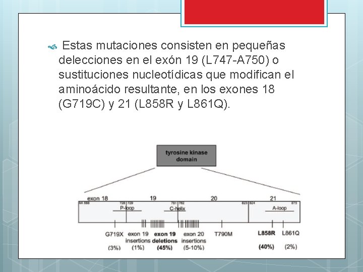  Estas mutaciones consisten en pequeñas delecciones en el exón 19 (L 747 -A