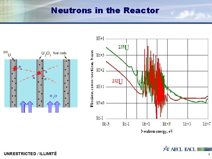 Neutrons in the Reactor UNRESTRICTED / ILLIMITÉ 3 