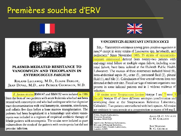 Premières souches d’ERV 