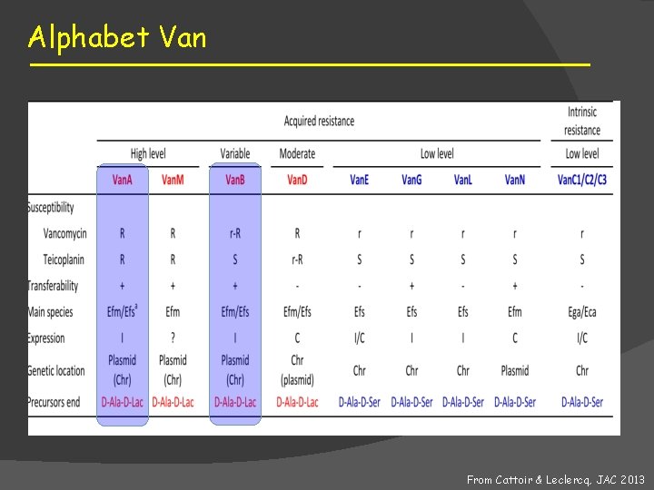 Alphabet Van From Cattoir & Leclercq, JAC 2013 