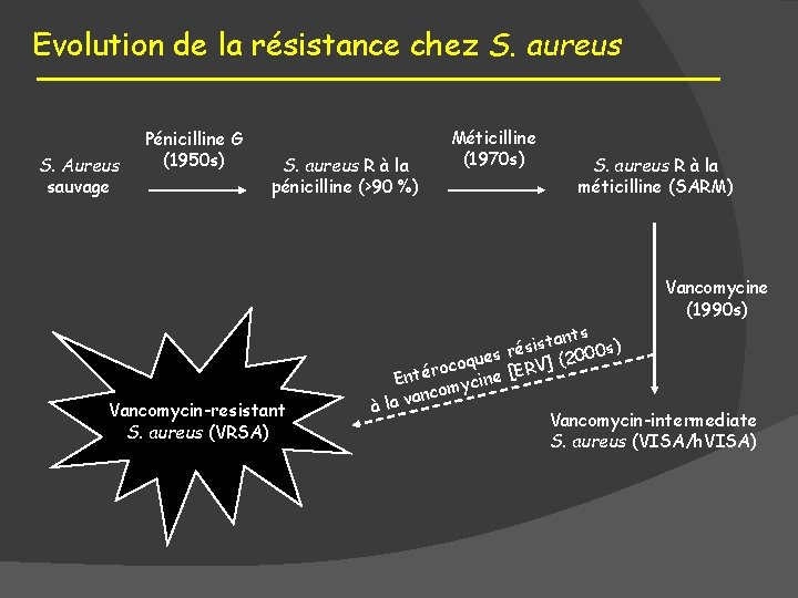 Evolution de la résistance chez S. aureus S. Aureus sauvage Pénicilline G (1950 s)