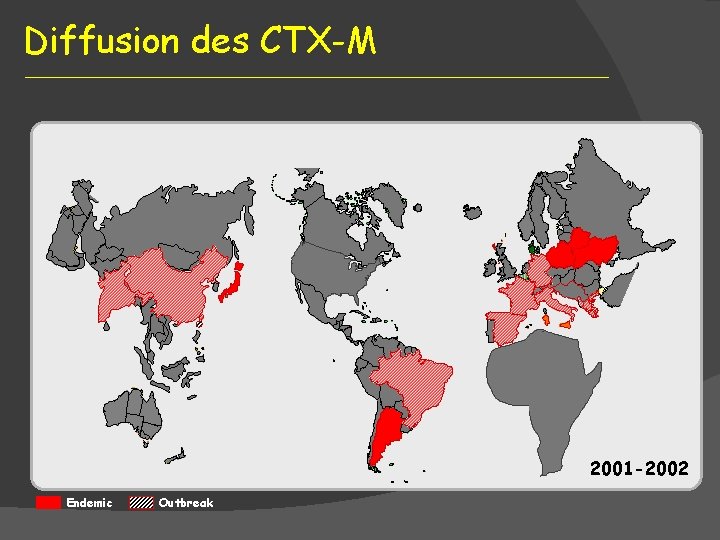 Diffusion des CTX-M 2001 -2002 Endemic Outbreak 