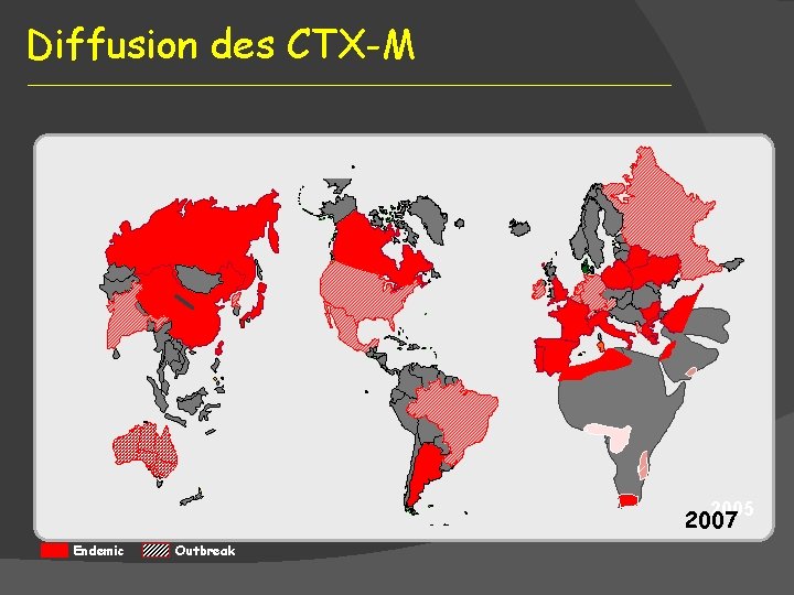 Diffusion des CTX-M 2005 2007 Endemic Outbreak 