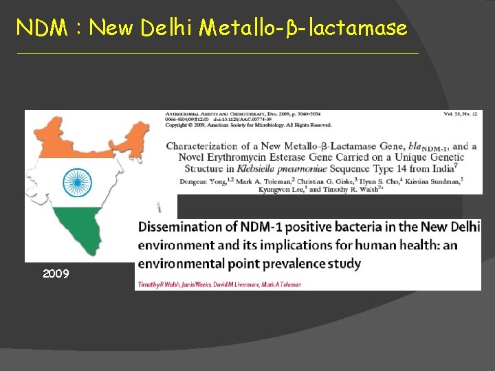 NDM : New Delhi Metallo-β-lactamase 2009 Lancet Infectious Diseases 2011 