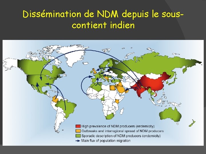 Dissémination de NDM depuis le souscontient indien 