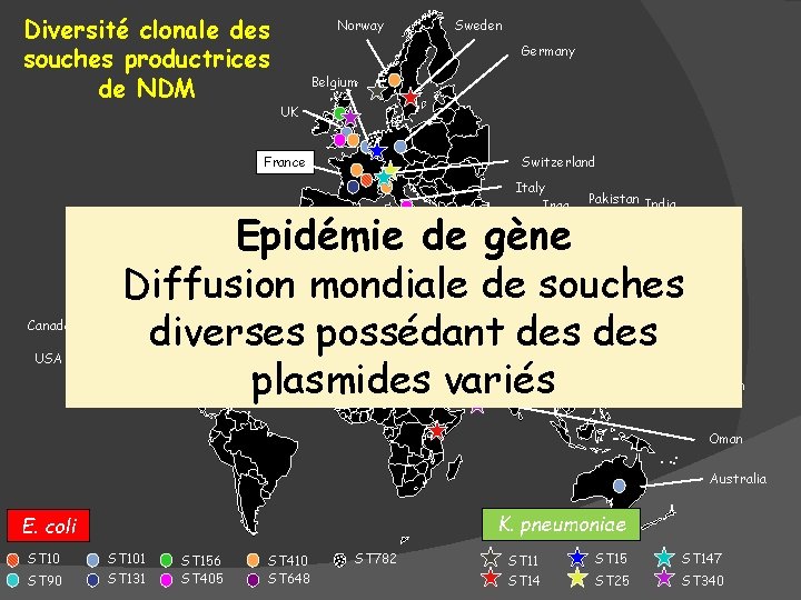 Diversité clonale des souches productrices de NDM Norway Sweden Germany Belgium UK Switzerland France