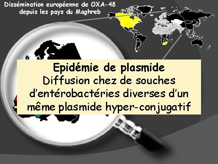 Dissémination européenne de OXA-48 depuis les pays du Maghreb Epidémie de plasmide Diffusion chez