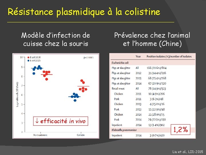 Résistance plasmidique à la colistine Modèle d’infection de cuisse chez la souris efficacité in