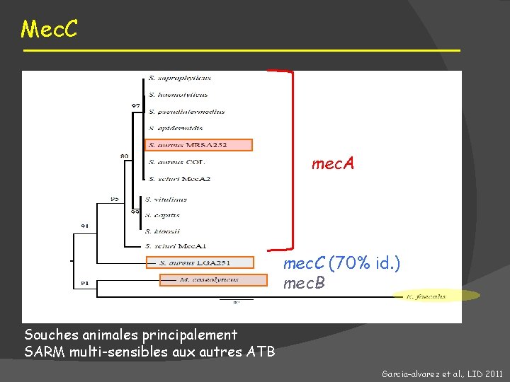 Mec. C mec. A mec. C (70% id. ) mec. B Souches animales principalement