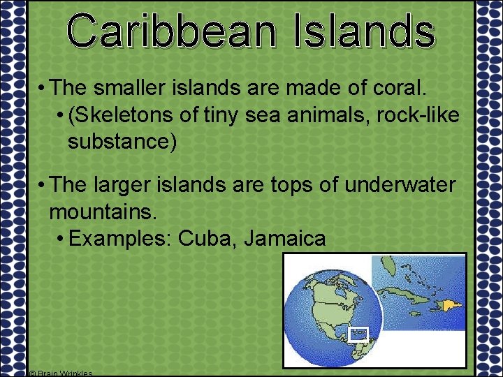 Caribbean Islands • The smaller islands are made of coral. • (Skeletons of tiny