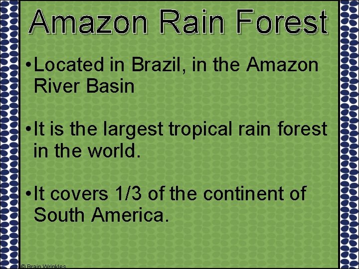 Amazon Rain Forest • Located in Brazil, in the Amazon River Basin • It