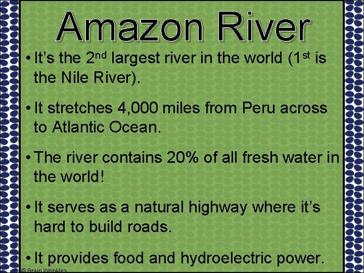 Amazon River • It’s the 2 nd largest river in the world (1 st