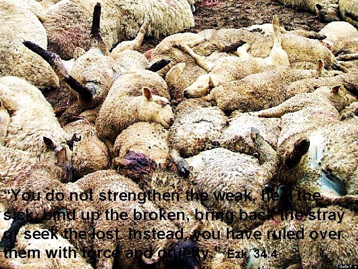 “You do not strengthen the weak, heal the sick, bind up the broken, bring