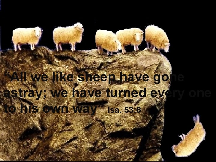 “All we like sheep have gone astray; we have turned every one to his