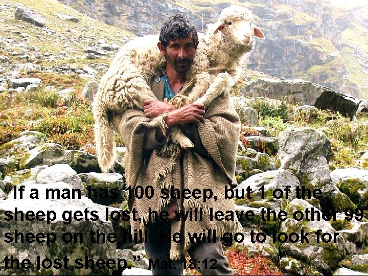 “If a man has 100 sheep, but 1 of the sheep gets lost, he