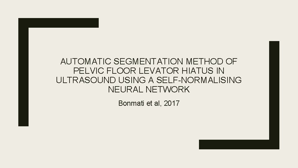 AUTOMATIC SEGMENTATION METHOD OF PELVIC FLOOR LEVATOR HIATUS IN ULTRASOUND USING A SELF-NORMALISING NEURAL