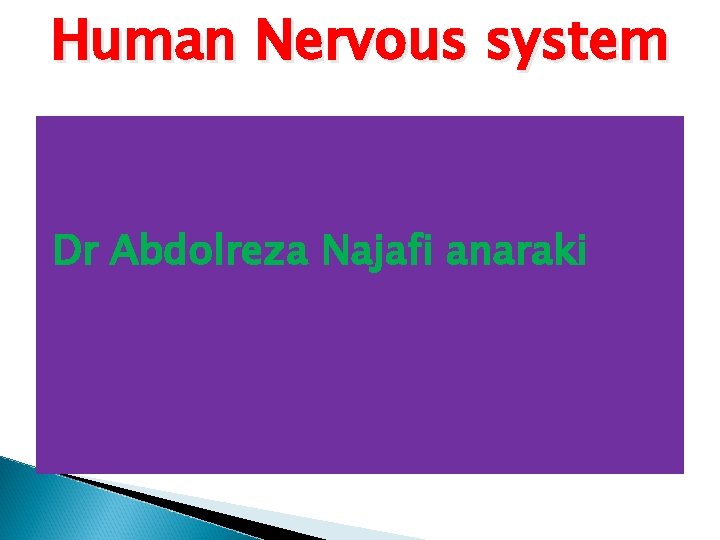 Human Nervous system Dr Abdolreza Najafi anaraki 