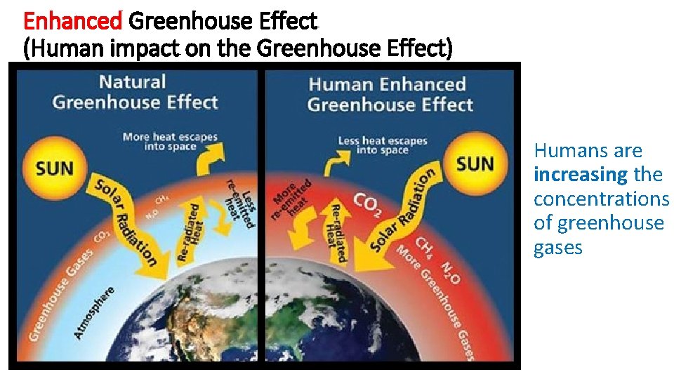Enhanced Greenhouse Effect (Human impact on the Greenhouse Effect) Humans are increasing the concentrations