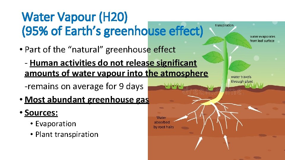 Water Vapour (H 20) (95% of Earth’s greenhouse effect) • Part of the “natural”