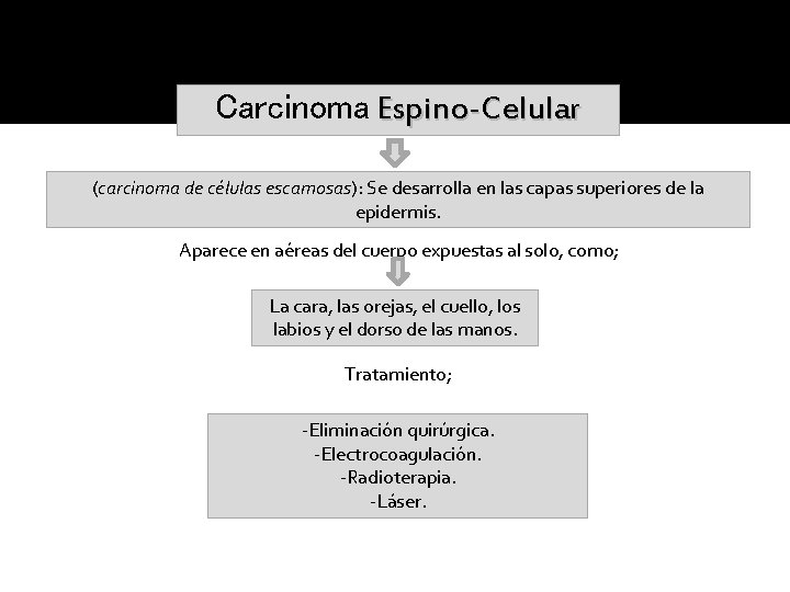 Carcinoma Espino-Celular (carcinoma de células escamosas): Se desarrolla en las capas superiores de la