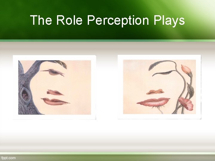 The Role Perception Plays 