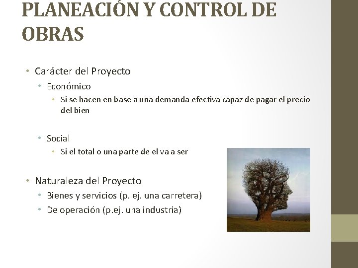 PLANEACIÓN Y CONTROL DE OBRAS • Carácter del Proyecto • Económico • Si se