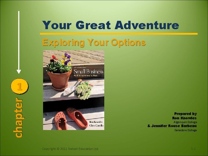 Your Great Adventure Exploring Your Options chapter 1 Prepared by Ron Knowles Algonquin College