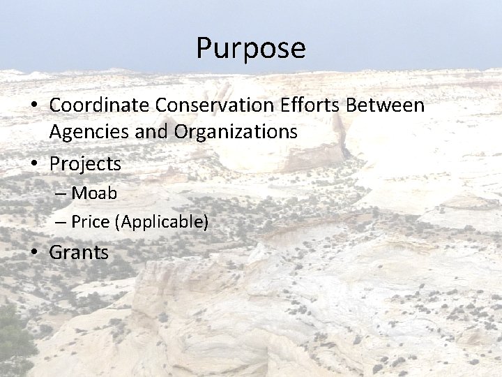 Purpose • Coordinate Conservation Efforts Between Agencies and Organizations • Projects – Moab –