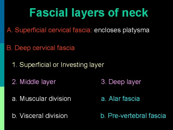 Fascial layers of neck A. Superficial cervical fascia: encloses platysma B. Deep cervical fascia