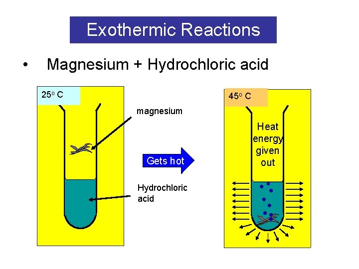 Exothermic Reactions • Magnesium + Hydrochloric acid 25 o C 45 o C magnesium