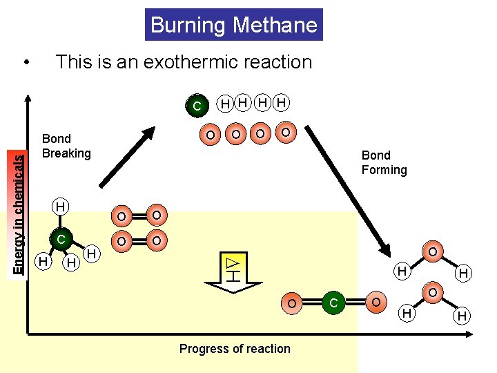 Burning Methane • This is an exothermic reaction H H O Bond Breaking H