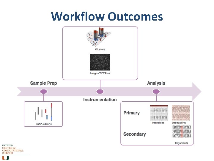 Workflow Outcomes 