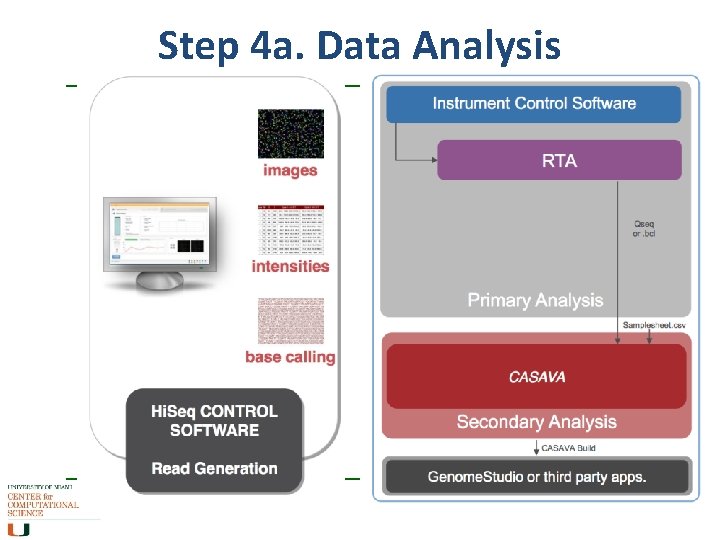 Step 4 a. Data Analysis 