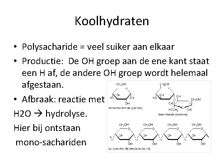 Koolhydraten • Polysacharide = veel suiker aan elkaar • Productie: De OH groep aan