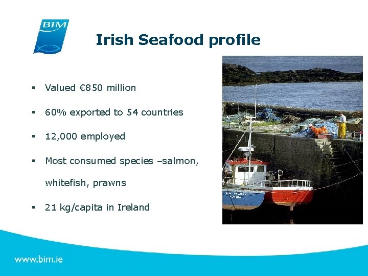 Irish Fish Processors Enhancing the Sustainability of Irish Seafood Green Seafood